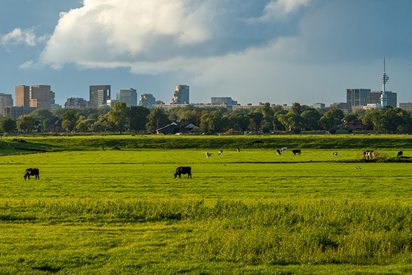 Cebeon - Bouwen, wonen & milieu