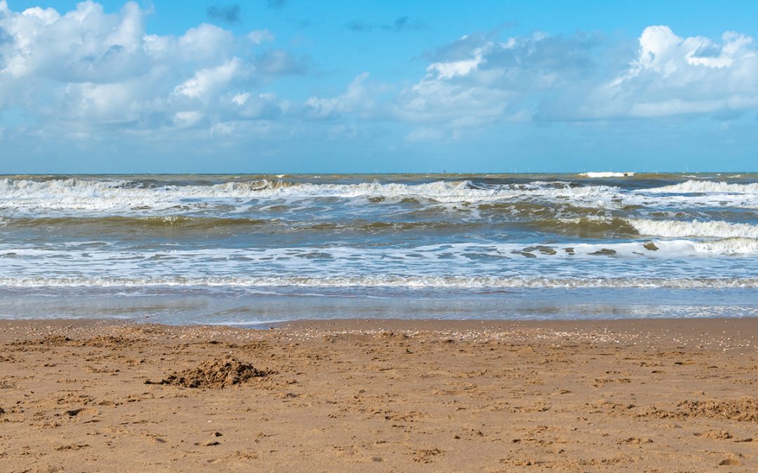 Doorlichting formatieomvang provincie Zeeland