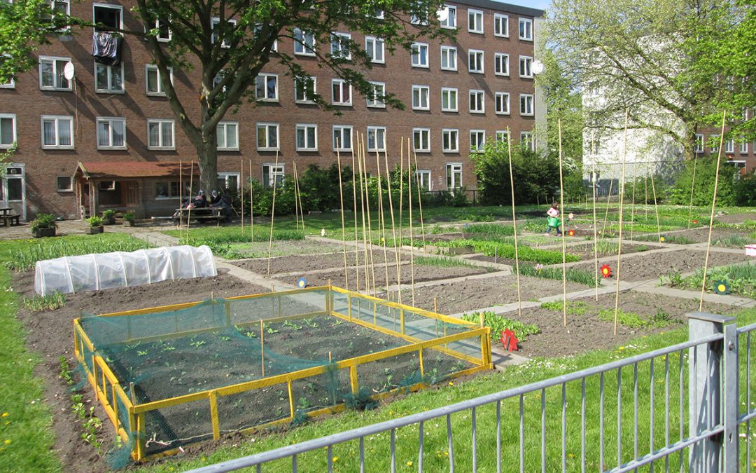 Renderen sociale wijkteams