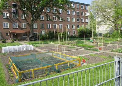 Financiële beheersbaarheid van het sociaal domein – Van oplopende tekorten naar inzicht in de werking van het sociaal domein