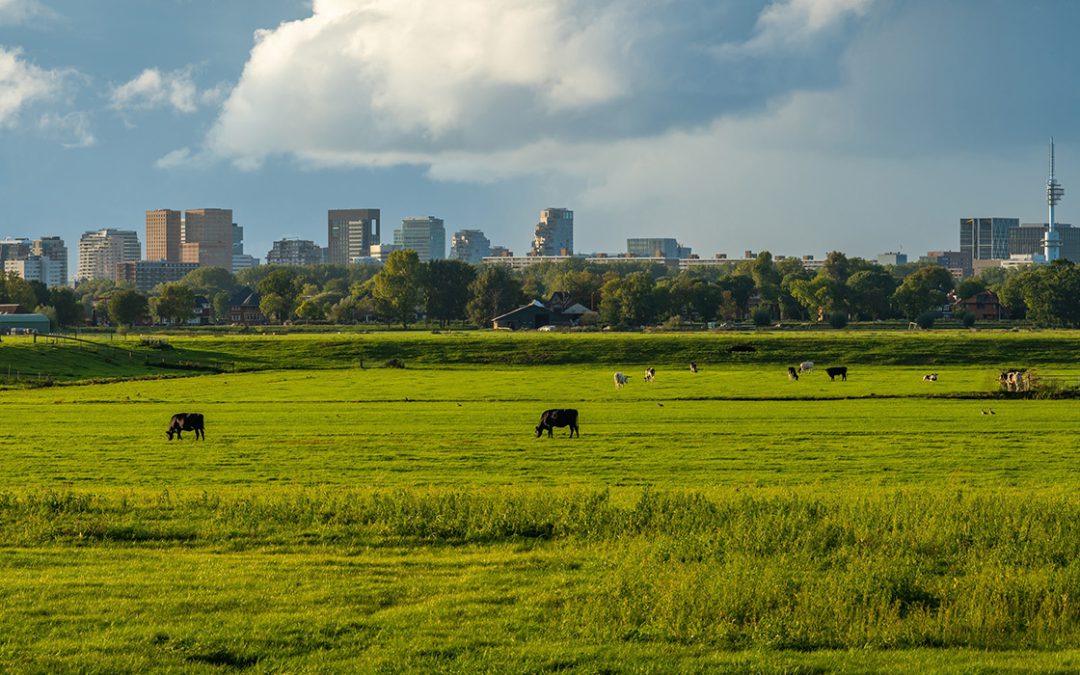 Gemeenteraadsverkiezingen 2026: inzicht als basis voor een zorgvuldige overdracht
