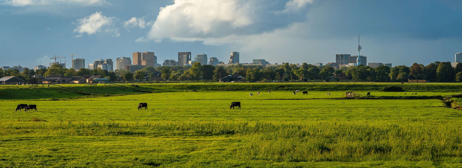 Gemeenteraadsverkiezingen 2026: inzicht als basis voor een zorgvuldige overdracht