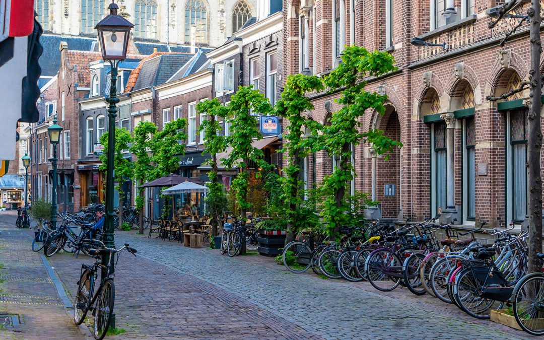 Webinar | Grip op gemeentefinanciën: waar gaat je geld naartoe en welke keuzes heb je?